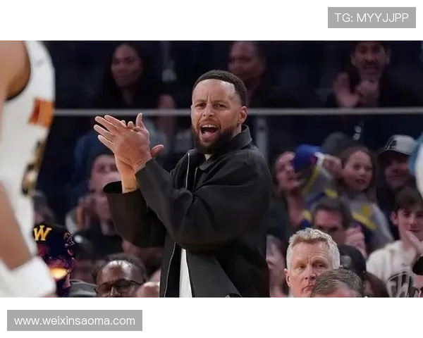 波神:有库里这样的老将很关键 波神:有库里这样的老将很关键