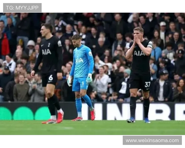 热刺运营成本占收入36% 创英超之最